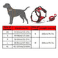 Collodi Fuchsia Harness & Leash Set - Dogs and Horses