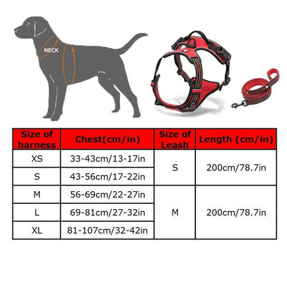 Collodi Fuchsia Harness & Leash Set - Dogs and Horses