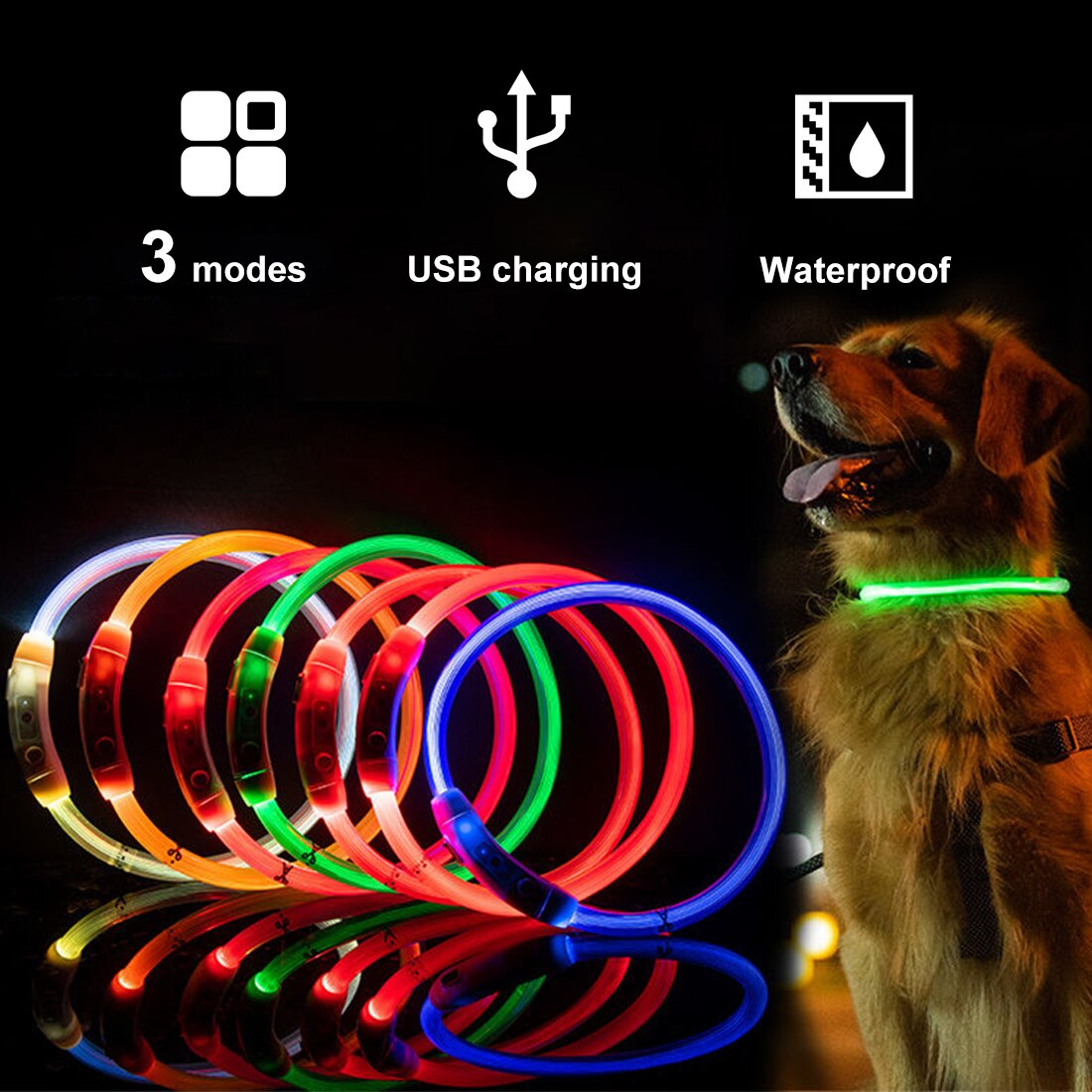 Luminous Dog Collar - USB Rechargeable - Dogs and Horses