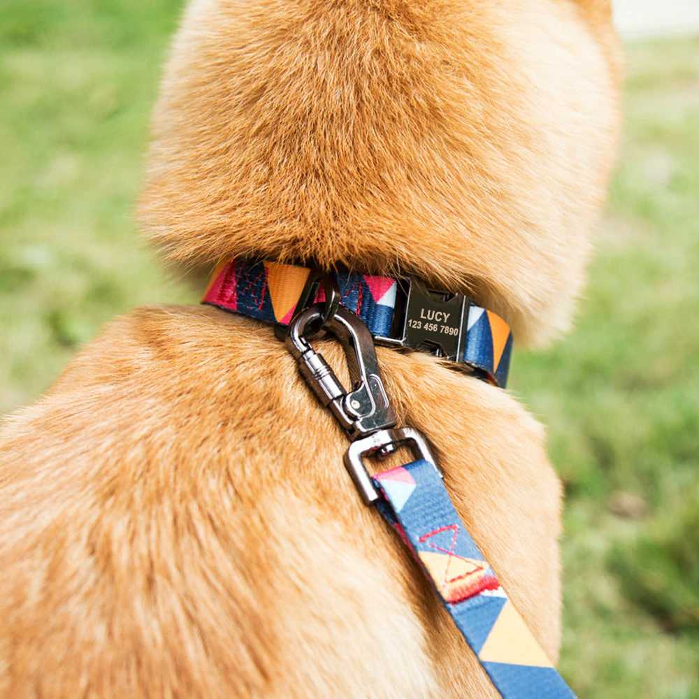 Picasso Orange Personalized Collar & Leash Set - Dogs and Horses