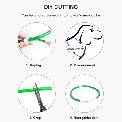 Luminous Dog Collar - USB Rechargeable - Dogs and Horses