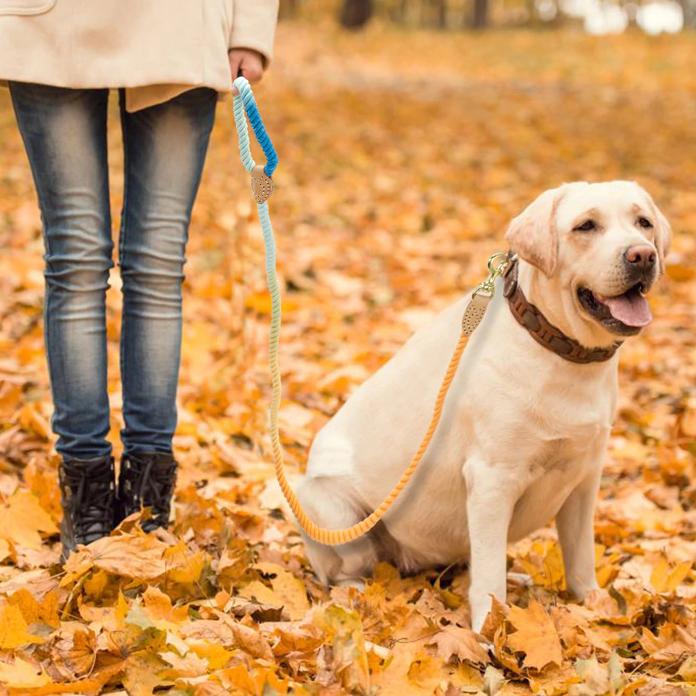 Pink Cotton Rope Leash - Dogs and Horses