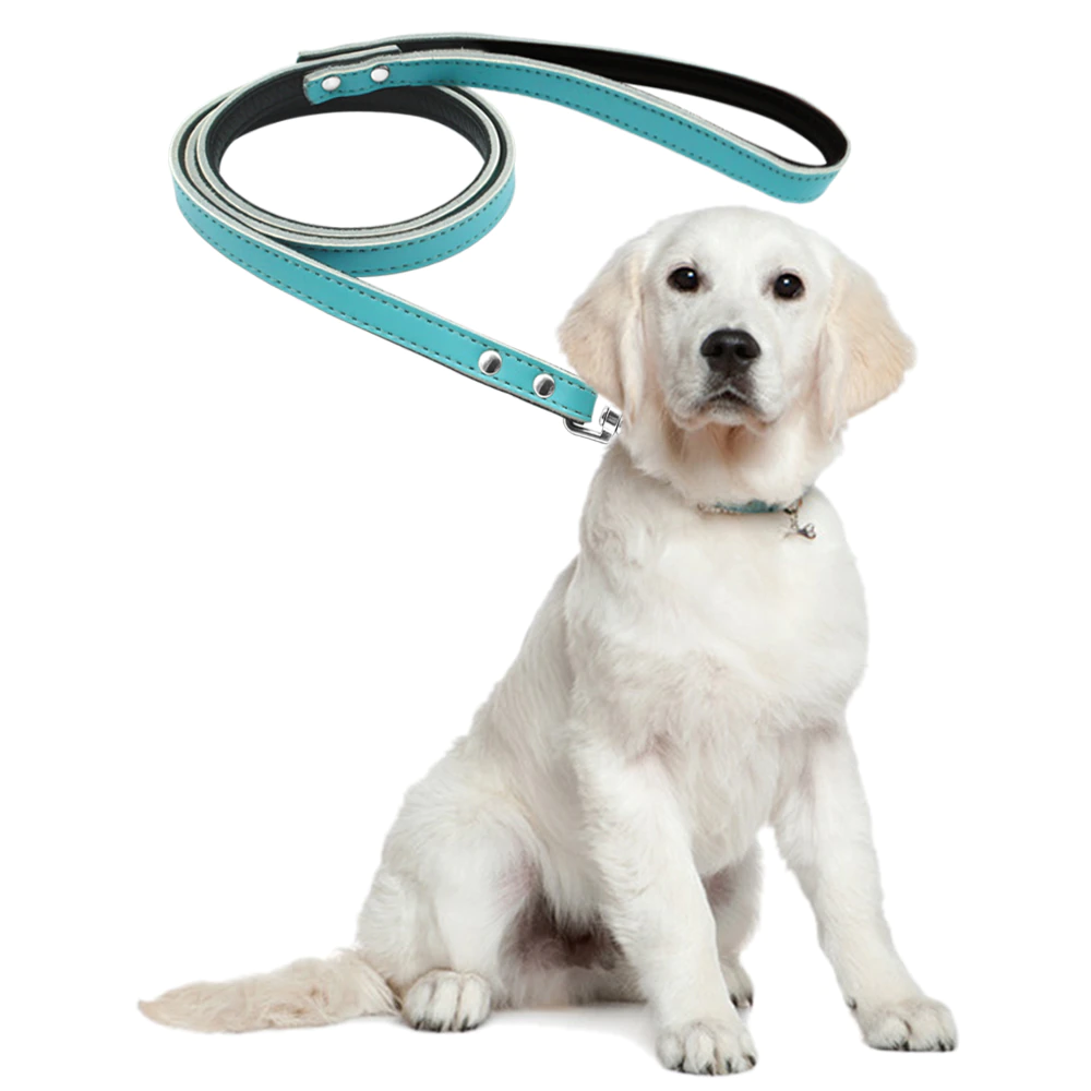 Matera Blue Leather Leash - Dogs and Horses