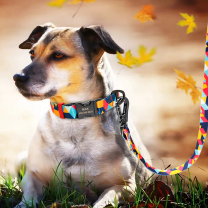 Picasso Orange Personalized Collar & Leash Set - Dogs and Horses