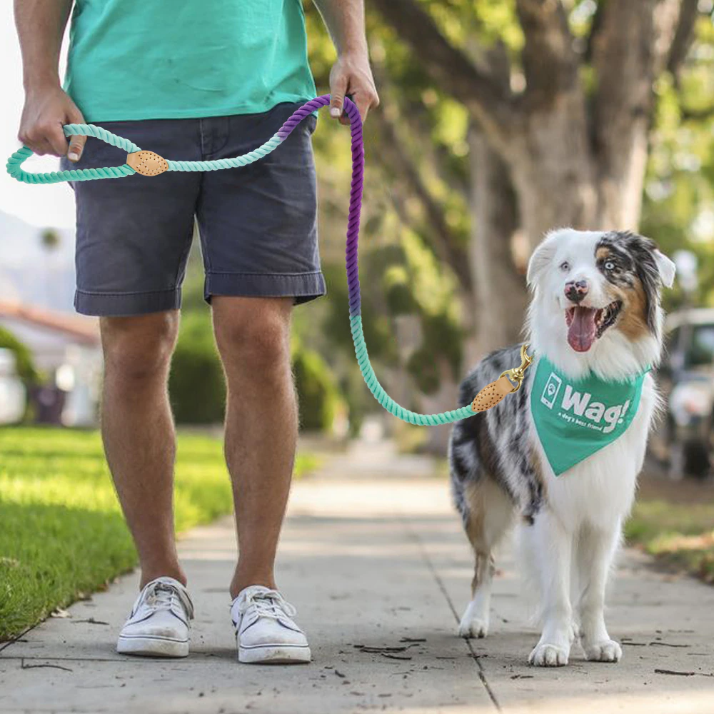 Pink Cotton Rope Leash - Dogs and Horses