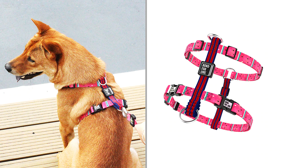 Bari Watermelon Chest Collar - Dogs and Horses
