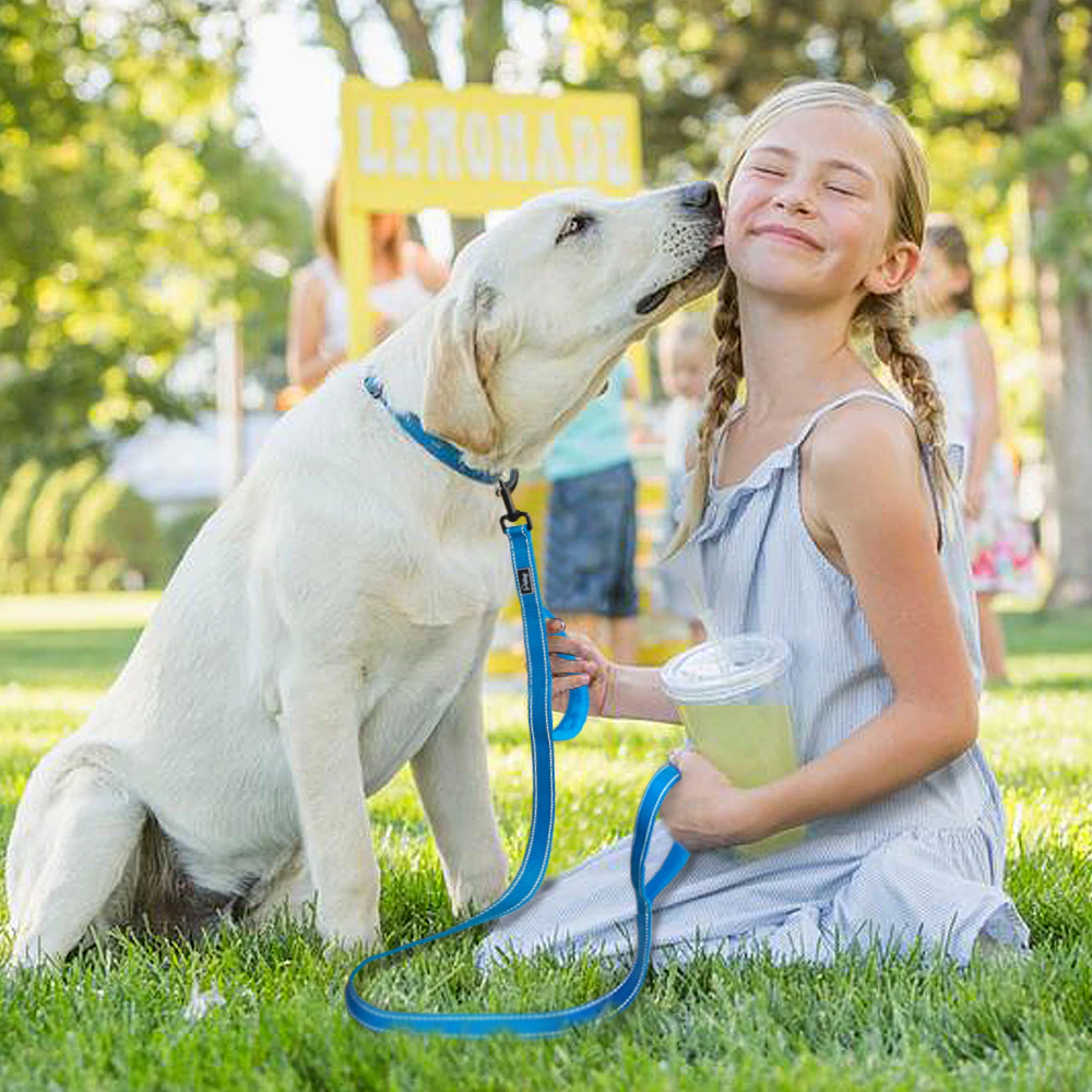 Black No Pull Reflective Leash - Dogs and Horses