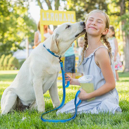 Blue No Pull Reflective Leash - Dogs and Horses