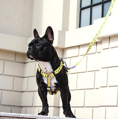 Bari Rhombus Leash - Dogs and Horses