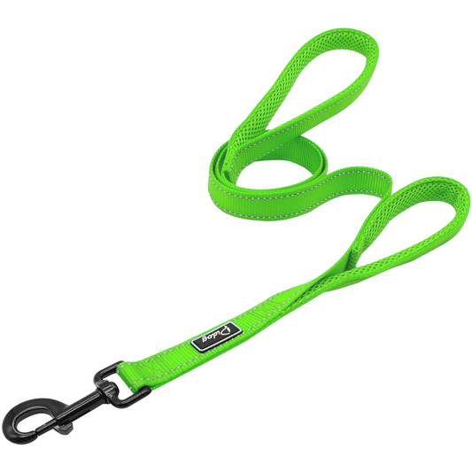 Green No Pull Reflective Leash - Dogs and Horses