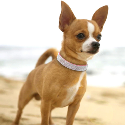 Bling Rose Suede Collar - Dogs and Horses