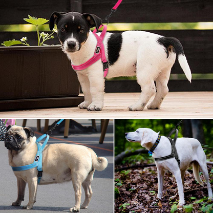 Green No Pull Reflective Harness & Leash Set - Dogs and Horses