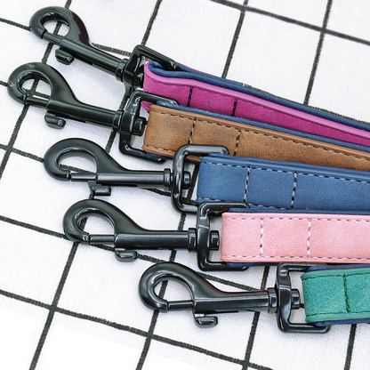 Roma Custom Leather Collar and Leash - Dogs and Horses