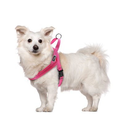 Pink No Pull Reflective Harness - Dogs and Horses