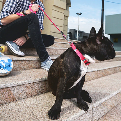 Bari Watermelon Leash - Dogs and Horses