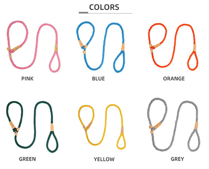 Blue Rope Slip Leash & Collar - Dogs and Horses