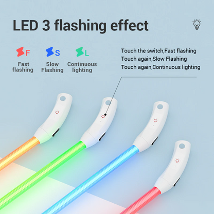 Luminous Dog Collar - USB Rechargeable - Dogs and Horses