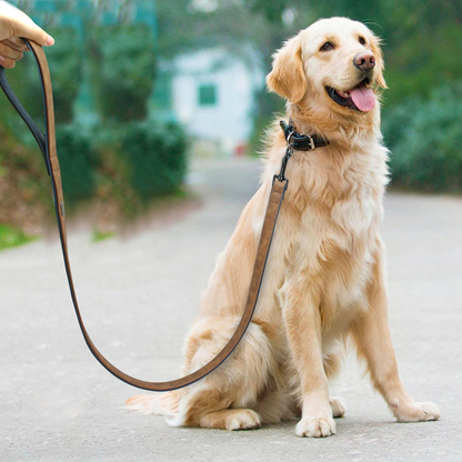 Roma Custom Leather Collar and Leash - Dogs and Horses