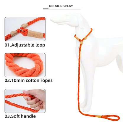 Gray Rope Slip Leash & Collar - Dogs and Horses