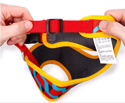 Bari Meteor Harness - Dogs and Horses