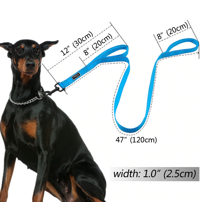 Pink No Pull Reflective Leash - Dogs and Horses