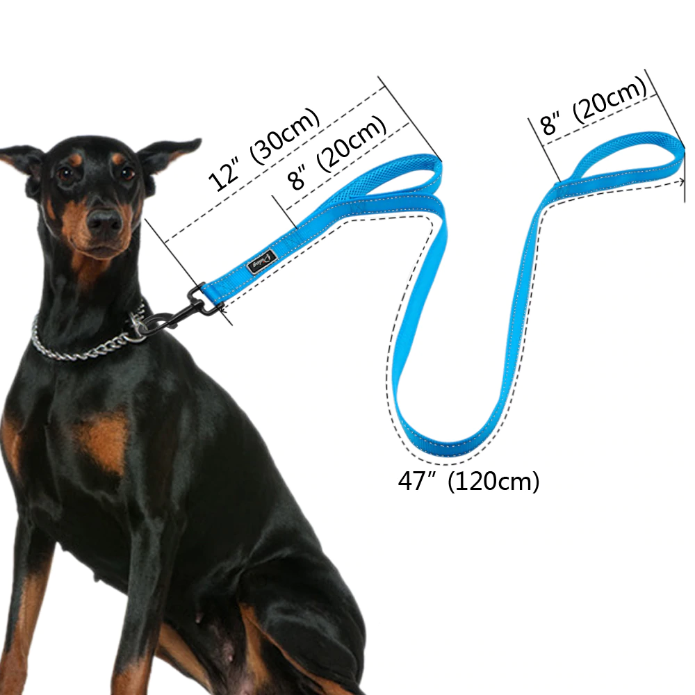 Blue No Pull Reflective Harness & Leash Set - Dogs and Horses