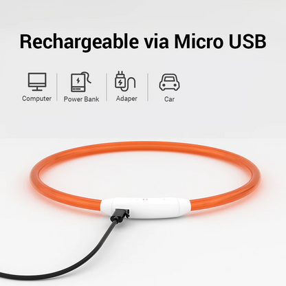 Luminous Dog Collar - USB Rechargeable - Dogs and Horses