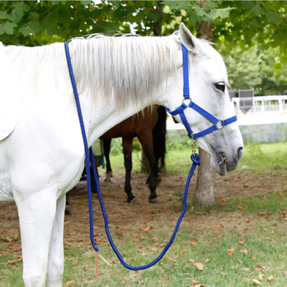 Red Lead Rope / 3 m - Dogs and Horses