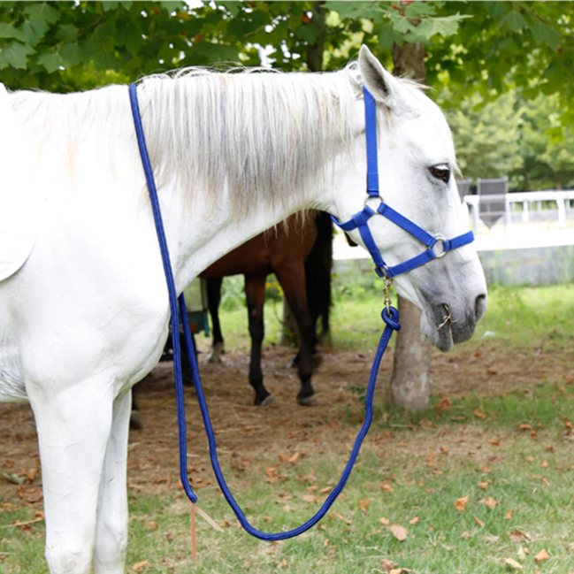 Blue Lead Rope / 3 m - Dogs and Horses