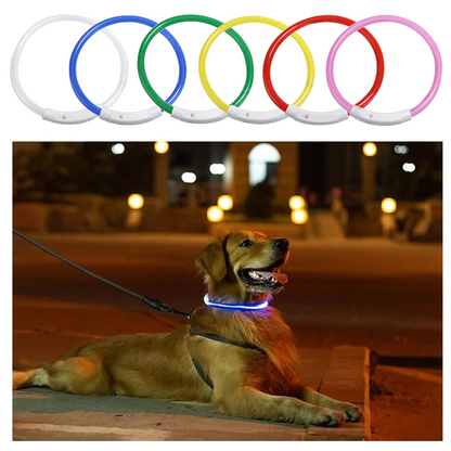 Luminous Dog Collar - USB Rechargeable - Dogs and Horses