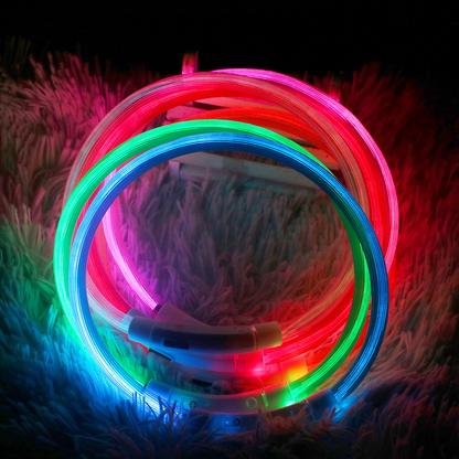 Luminous Dog Collar - USB Rechargeable - Dogs and Horses