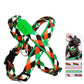 Capri Mountain Harness - Dogs and Horses