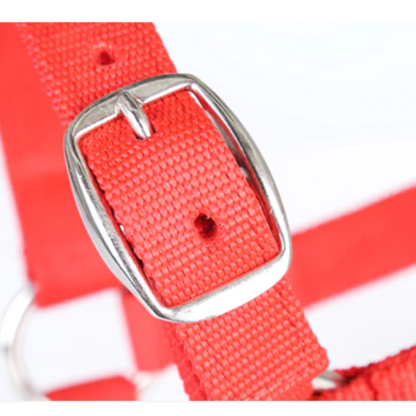 Anti-friction Halter / Headcollar (3 colors) - Dogs and Horses