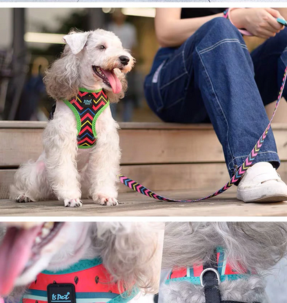 Bari Watermelon Harness - Dogs and Horses