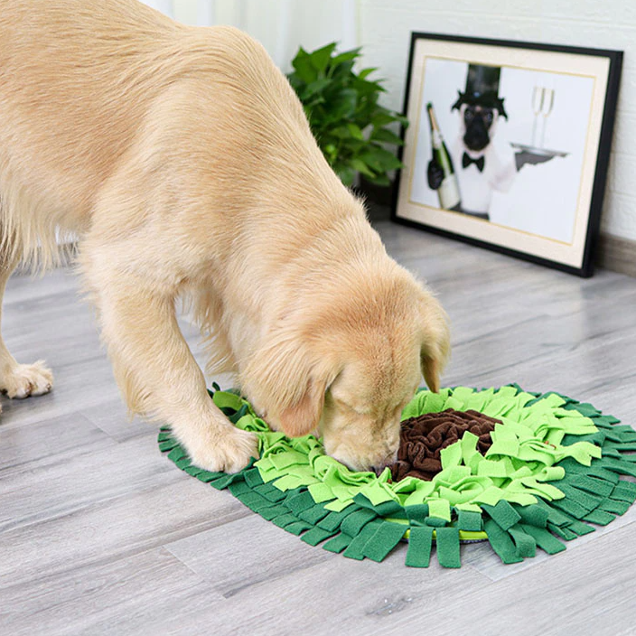 AWOOF Snuffle Mat for Dogs - Dog Puzzle Toys, Algeria