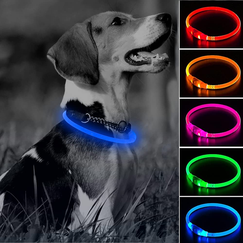 Luminous Dog Collar - USB Rechargeable - Dogs and Horses