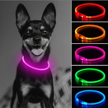 Luminous Dog Collar - USB Rechargeable - Dogs and Horses
