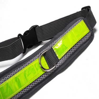 Black Hands-Free Leash & Running Belt - Dogs and Horses
