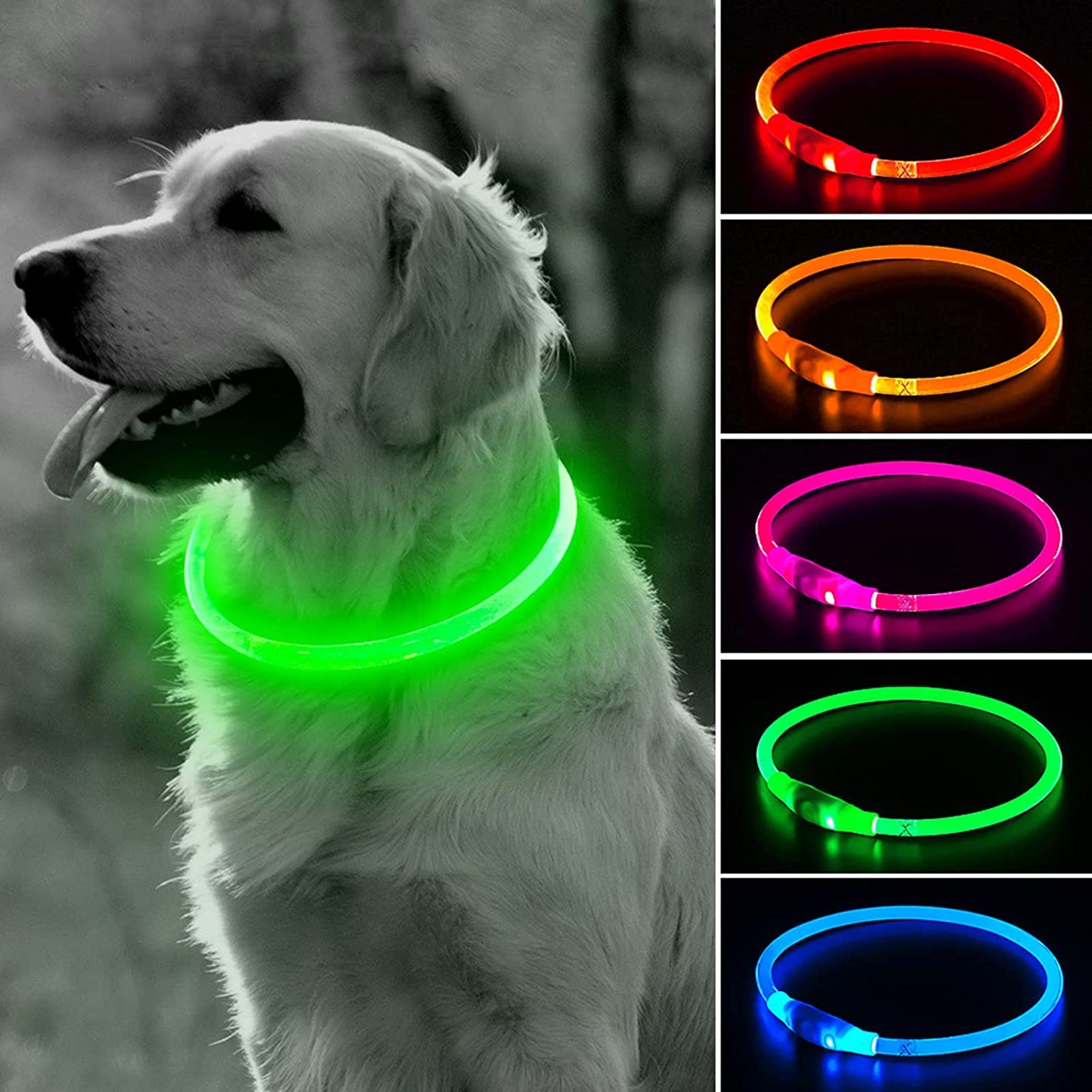 Luminous Dog Collar - USB Rechargeable - Dogs and Horses
