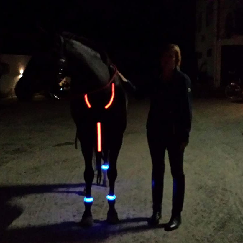 Horse Leg Straps LED Lights Cucciolo Cavallo