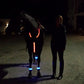 Horse Leg Straps LED Lights - Dogs and Horses