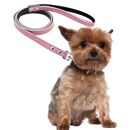 Matera Pink Leather Leash - Dogs and Horses