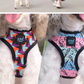 Bari Meteor Harness - Dogs and Horses
