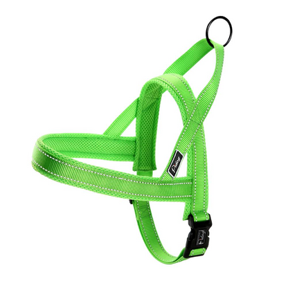 Green No Pull Reflective Harness & Leash Set - Dogs and Horses