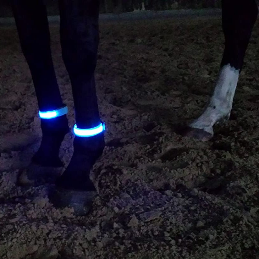 Horse Leg Straps LED Lights - Dogs and Horses