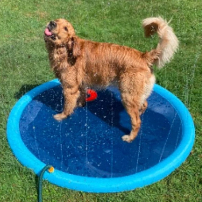 Splash Sprinkler Pad for Pets