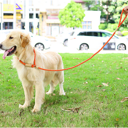 Orange Rope Slip Leash & Collar - Dogs and Horses