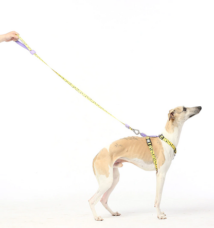 Bari Rhombus Chest Collar - Dogs and Horses