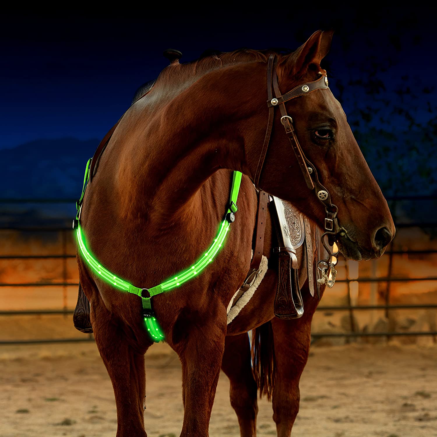 Horse Harness Breastplate Collar LED Lights - Dogs and Horses