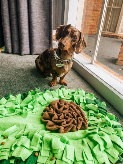 Avocado Snuffle & Feeding Mat - Dogs and Horses